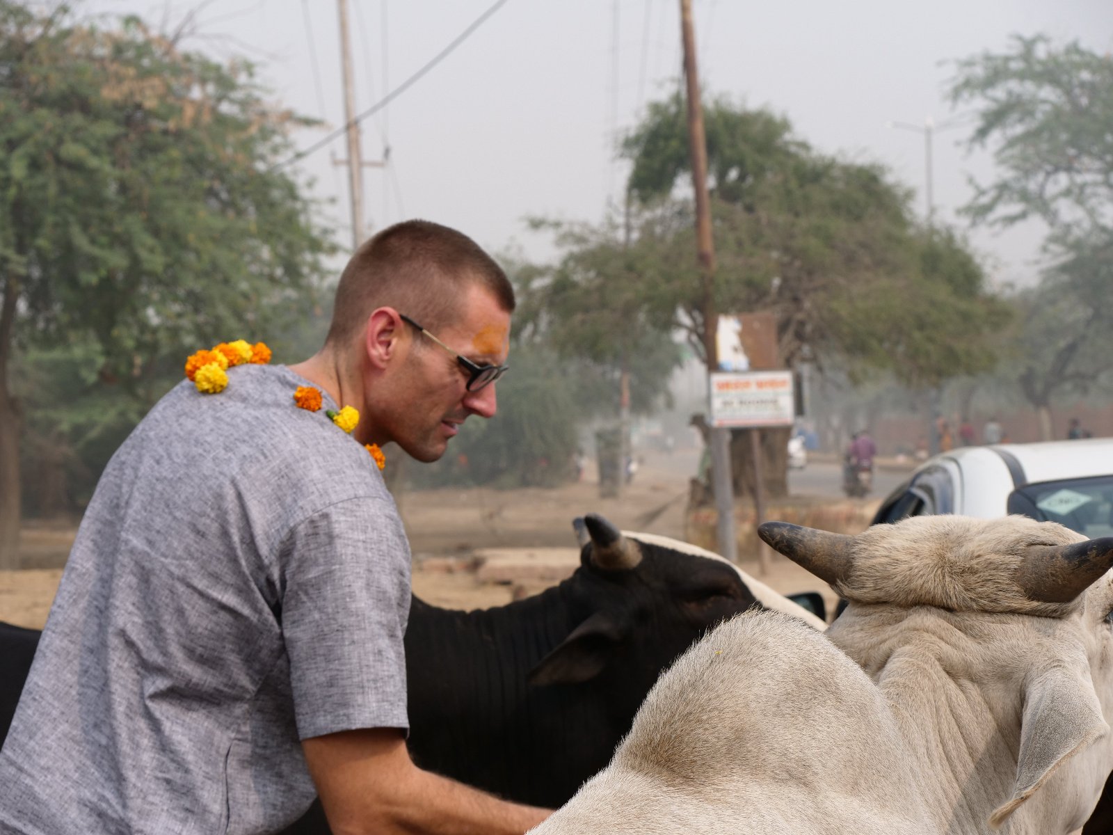  206 Gopashtami Radha kunda Govardhan 19.11.04